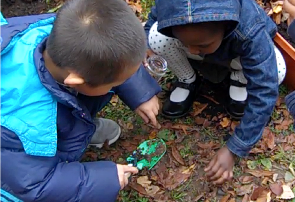 Two young students digging for worms