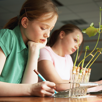 children observing plants